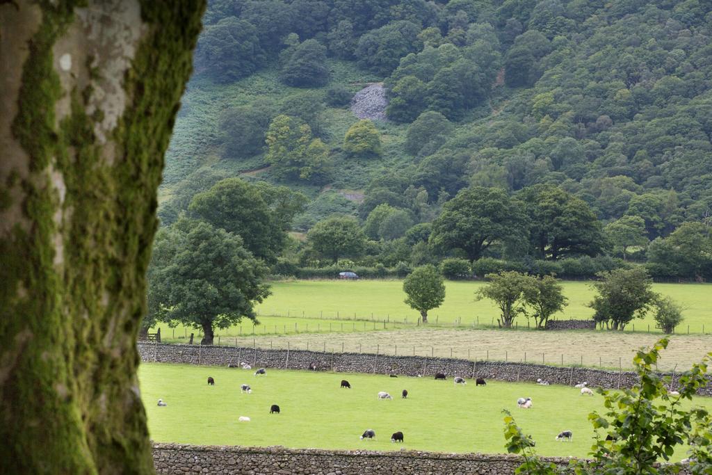 Hazel Bank Country House Borrowdale Valley Rosthwaite Exterior photo
